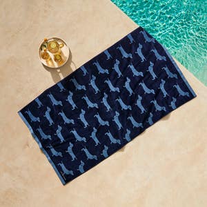 https://s3-ap-southeast-2.amazonaws.com/fusionfactory.commerceconnect.bbnt.production/pim_media/000/198/411/CH_S25-26_LS_Outdoor_Beach_Towels_Bailey_Storm_Blue_22128701_SI.jpg?1753754184