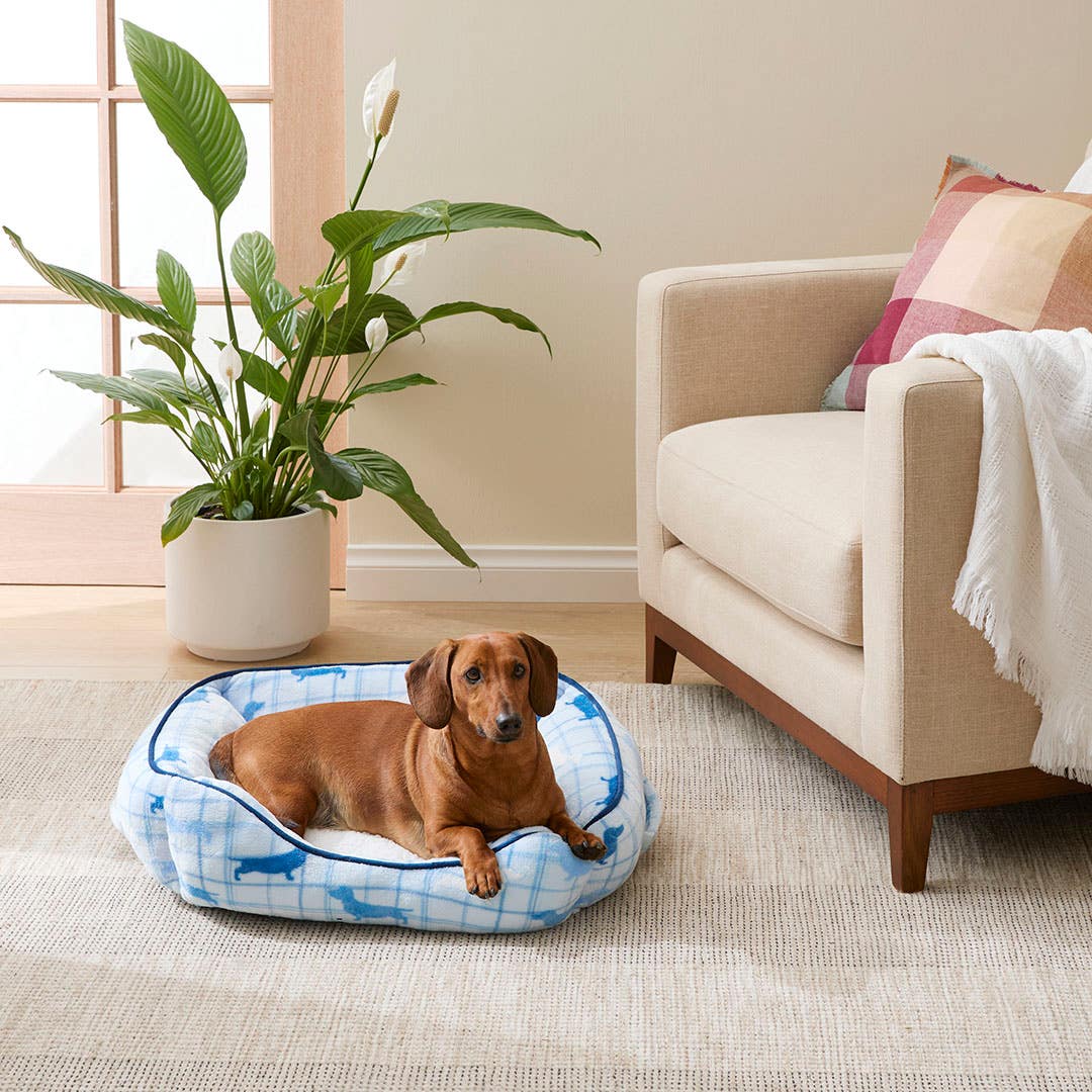 Shop Plush Pet Bed Small Charlie Blue Online Bed Bath N Table