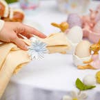 https://s3-ap-southeast-2.amazonaws.com/fusionfactory.commerceconnect.bbnt.production/pim_media/000/156/785/M_F_Easter-24_LS_Dining_Melamine_Bunny_Bouquet_Daisy_Napkin_Ring-2_SI.jpg?1701902485