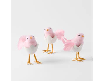 https://s3-ap-southeast-2.amazonaws.com/fusionfactory.commerceconnect.bbnt.production/pim_media/000/204/810/M_F_Easter26_T1-S3-Furry-Chicks-in-Egg_26613201_SI.jpg?1764117863