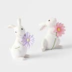 https://s3-ap-southeast-2.amazonaws.com/fusionfactory.commerceconnect.bbnt.production/pim_media/000/204/873/M_F_Easter26_T2-Bunny-w-Purple-Flower-Pink-Daisy_RANGE_26596701_26626301_R_SI.jpg?1764127157