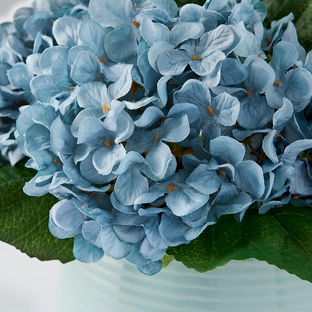 Shop Hydrangea in Ceramic Pot Online | Bed Bath N' Table