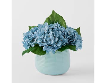 https://s3-ap-southeast-2.amazonaws.com/fusionfactory.commerceconnect.bbnt.production/pim_media/000/183/879/M_F_Hydrangea-in-Ceramic-Pot_Bluecv_26131601_SI.jpg?1734663649