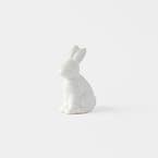 https://s3-ap-southeast-2.amazonaws.com/fusionfactory.commerceconnect.bbnt.production/pim_media/000/184/454/M_F_Mini-Speckled-Porcelain-Bunny_White_25935303_SI.jpg?1734665911
