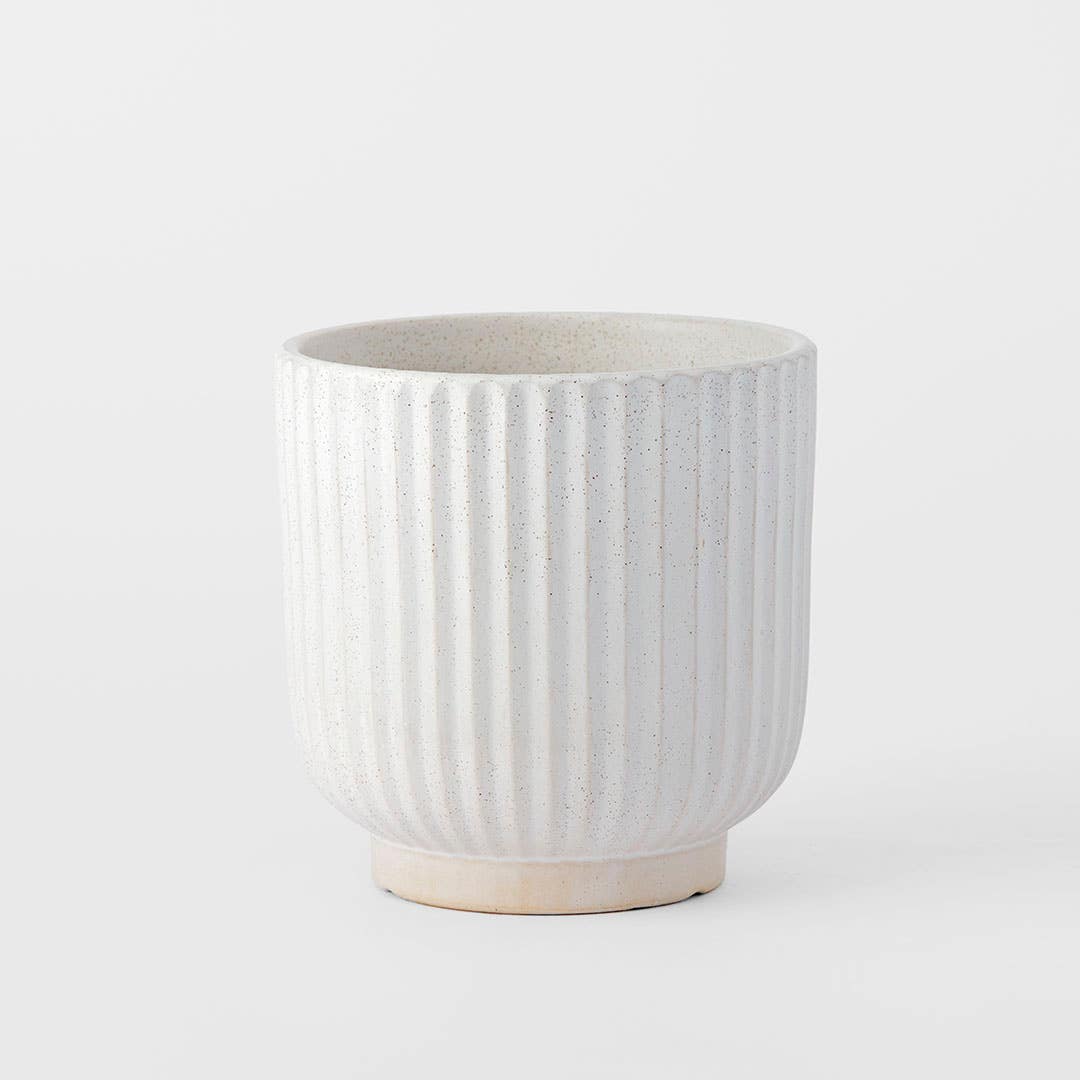 Round Ribbed Pot White Shop Ribbed Ceramic Pot Medium Online | Bed Bath N' Table