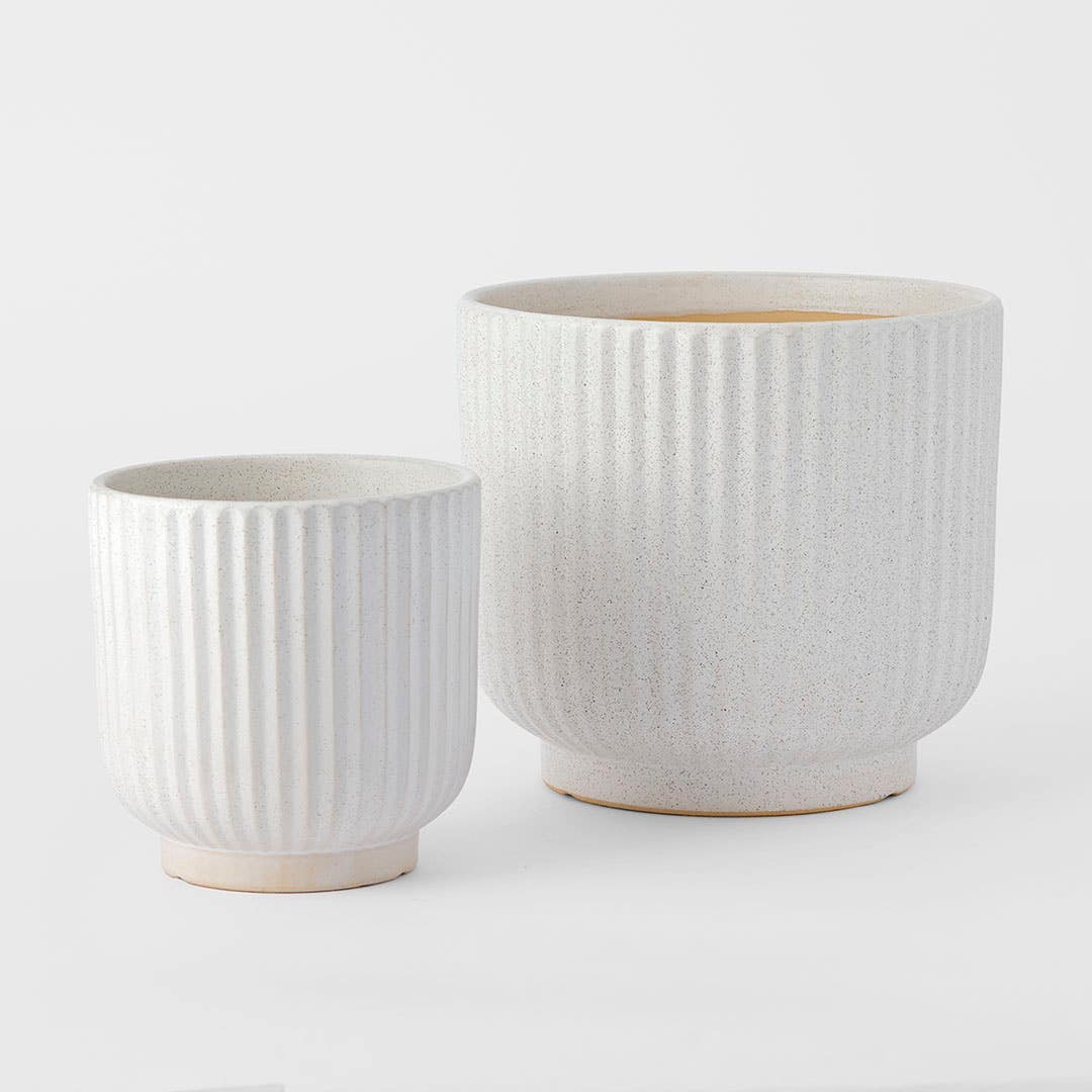 Designer Ribbed Pots Shop Ribbed Ceramic Pot Medium Online | Bed Bath N' Table