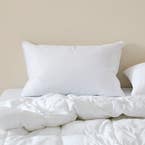 https://s3-ap-southeast-2.amazonaws.com/fusionfactory.commerceconnect.bbnt.production/pim_media/000/170/728/M_F_S24-25_Cat-Stacks_Pillow_Classic-Goose-Feather_SI.jpg?1727159265