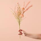 https://s3-ap-southeast-2.amazonaws.com/fusionfactory.commerceconnect.bbnt.production/pim_media/000/210/081/M_F_Summer_S24-25_LS_Studio_Decorator_DRIED_FLORAL_SPRAY_Dusty_Pink.jpg?1771456418