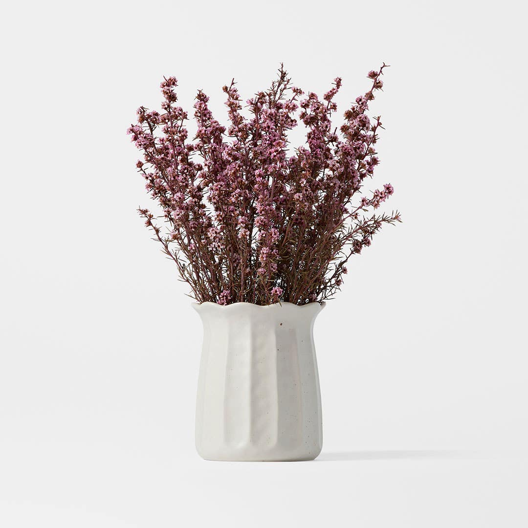 https://s3-ap-southeast-2.amazonaws.com/fusionfactory.commerceconnect.bbnt.production/pim_media/000/205/724/M_F_W26_Curtis-Ceramic-Vase-Sml_White_26894901_SCALE_SI.jpg?1765343264