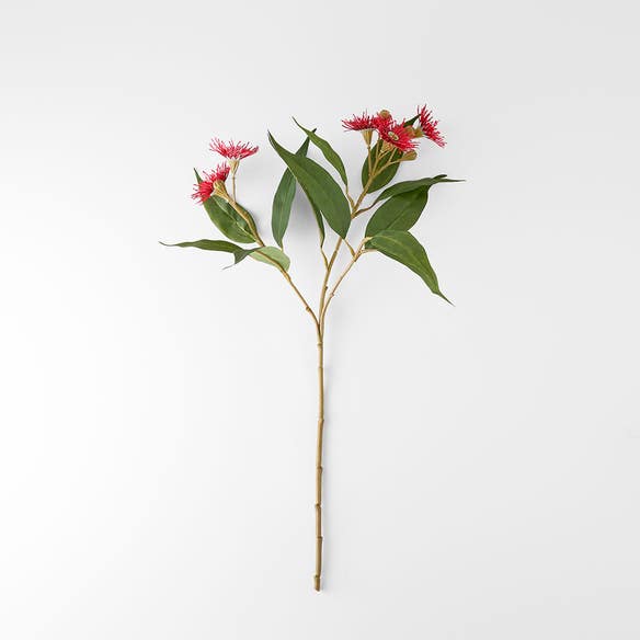https://s3-ap-southeast-2.amazonaws.com/fusionfactory.commerceconnect.bbnt.production/pim_media/000/206/465/M_F_W26_Flowering-Gum-Stem_Red_26920302_V2_SI.jpg?1767157627