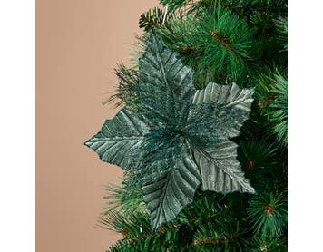 https://s3-ap-southeast-2.amazonaws.com/fusionfactory.commerceconnect.bbnt.production/pim_media/000/214/538/M_F_Xmas-26-27_HT_DECS_S4-Velvet-_-Mesh-Poinsettia-Clip_27129501_SI.jpg?1781480693