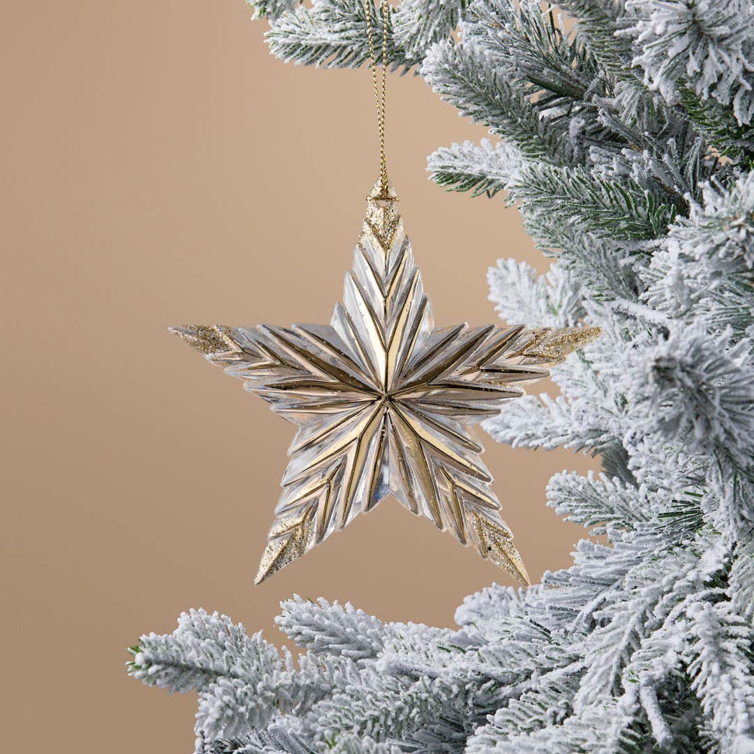 https://s3-ap-southeast-2.amazonaws.com/fusionfactory.commerceconnect.bbnt.production/pim_media/000/218/271/M_F_Xmas-26-27_LM_DECS_Star-Dec-w-Gold-Accents_27076601_SI.jpg?1785216223