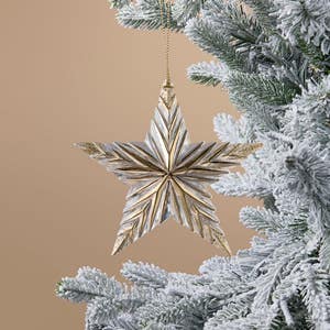 https://s3-ap-southeast-2.amazonaws.com/fusionfactory.commerceconnect.bbnt.production/pim_media/000/218/271/M_F_Xmas-26-27_LM_DECS_Star-Dec-w-Gold-Accents_27076601_SI.jpg?1785216223