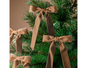 https://s3-ap-southeast-2.amazonaws.com/fusionfactory.commerceconnect.bbnt.production/pim_media/000/222/393/M_F_Xmas-26-27_LM_Decs_Set_S6_Velvet_Bow_Clips_26239601_Detail_Champagne_SI.jpg?1789601115