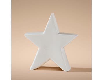 https://s3-ap-southeast-2.amazonaws.com/fusionfactory.commerceconnect.bbnt.production/pim_media/000/215/131/M_F_Xmas-26-27_LM_STAND_DECS_Porcelain-Star-Decor-Lrg_27016101_SI.jpg?1781747220