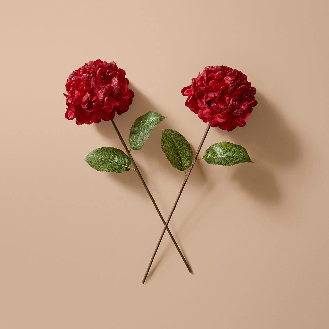 https://s3-ap-southeast-2.amazonaws.com/fusionfactory.commerceconnect.bbnt.production/pim_media/000/217/509/M_F_Xmas-26-27_MR_SPRAY_S2-Faux-Hydrangea-Stem_27129001_SI.jpg?1784178425