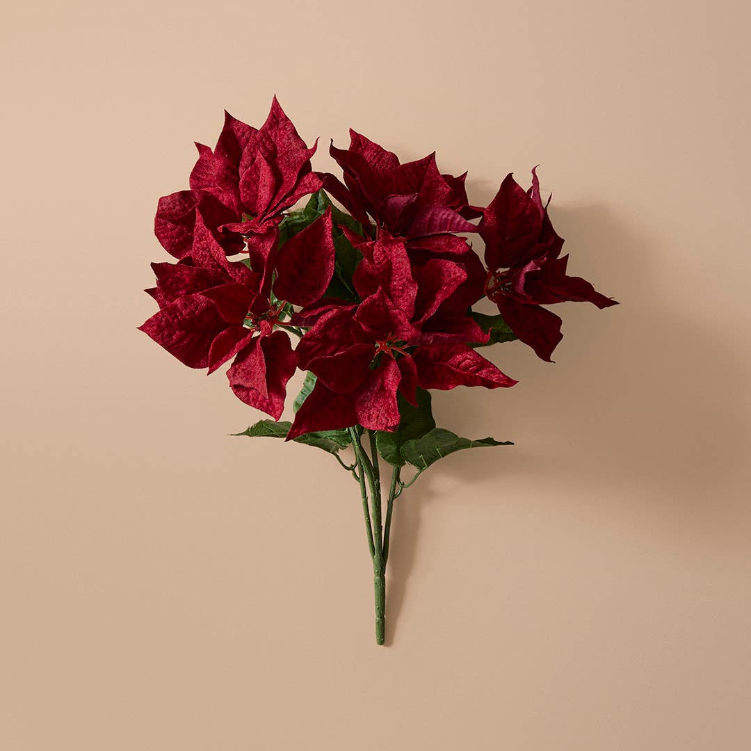 https://s3-ap-southeast-2.amazonaws.com/fusionfactory.commerceconnect.bbnt.production/pim_media/000/218/001/M_F_Xmas-26-27_MR_SPRAY_S2_Faux-Poinsettia-Bunch_27125901_SI.jpg?1784591631