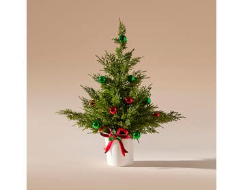 https://s3-ap-southeast-2.amazonaws.com/fusionfactory.commerceconnect.bbnt.production/pim_media/000/214/813/M_F_Xmas-26-27_MR_TREE_Potted-Faux-Pine-w-Baubles_27048901_SI.jpg?1781569824