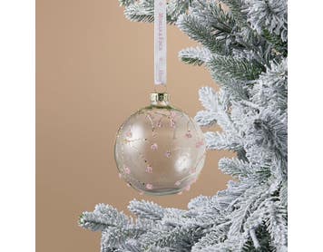 https://s3-ap-southeast-2.amazonaws.com/fusionfactory.commerceconnect.bbnt.production/pim_media/000/216/878/M_F_Xmas-26-27_S4_LM_DECS_Glass-Ball-w-Glitter-Berry_27062701_SI.jpg?1783666709