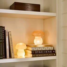 Shop Lamps
