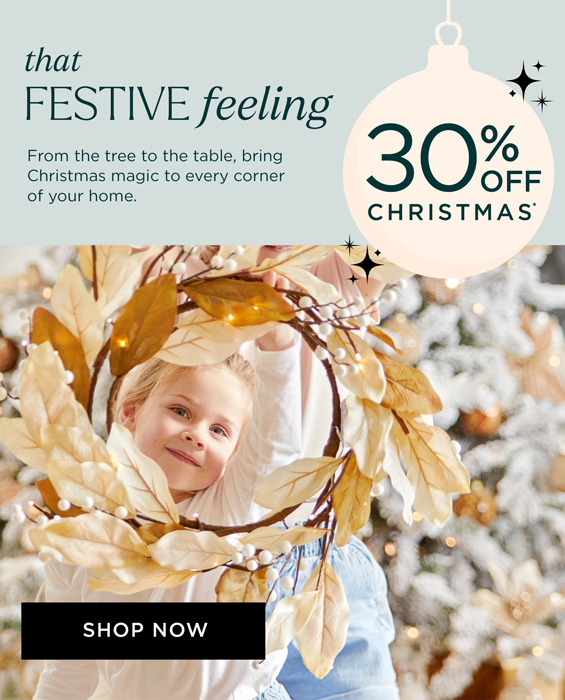 30% Off Christmas Sale